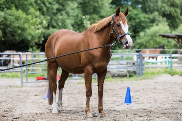 Bild 62 - Vivi
